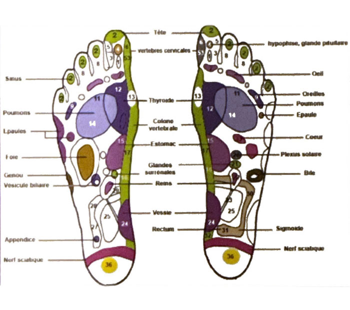 Réflexologie plantaire à Mezin